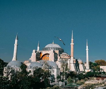 Baseera Academy - Learn Quran and Arabic Online